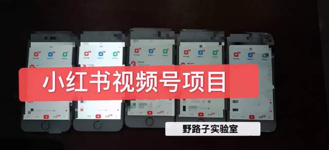 野路子小红书视频号1.0项目，直接上手操作就能賺米的视频号项目
