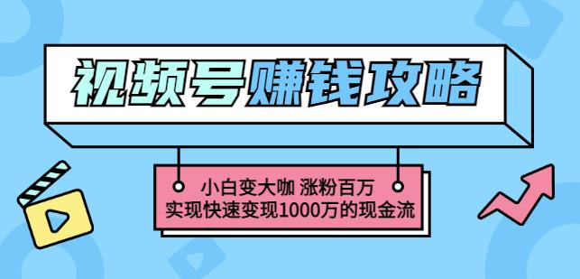 玩转微信视频号賺米：小白变大咖涨粉百万实现快速变现1000万的现金流