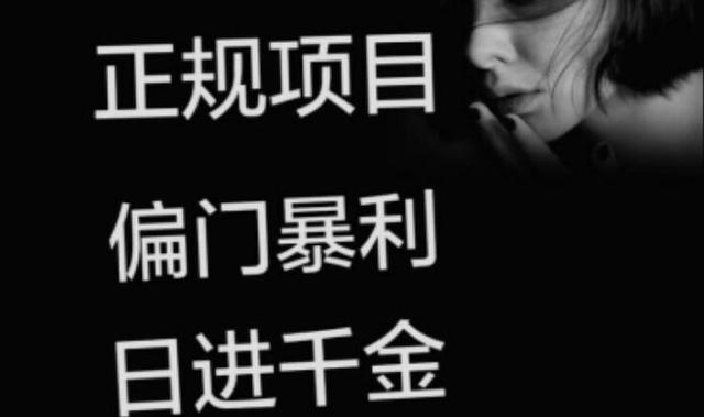 暴利三大賺米项目，老司机可以上车，小白要慎重