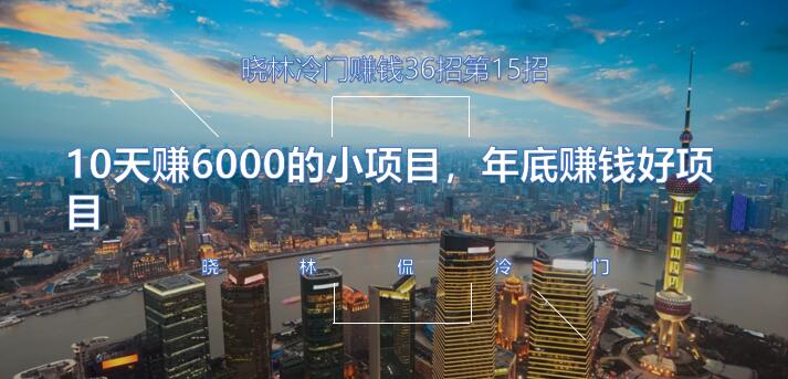 晓林冷门賺米36招第15招10天赚6000的小项目，年底賺米好项目【视频课程】