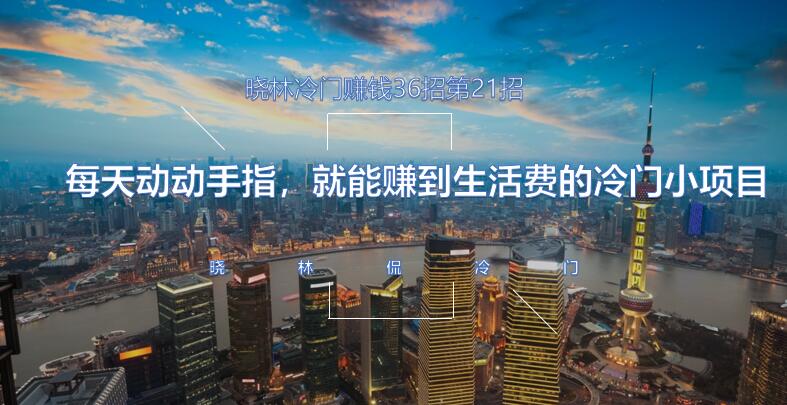 晓林冷门賺米36招第21招每天动动手指，就能赚到生活费的冷门小项目【视频课程】