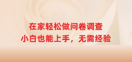 在家轻松做问卷调查，小白也能上手，无需经验