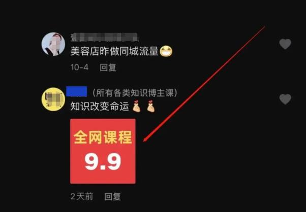 被动获取流量的賺米项目：抖音评论截流卖资料，也能日入200元