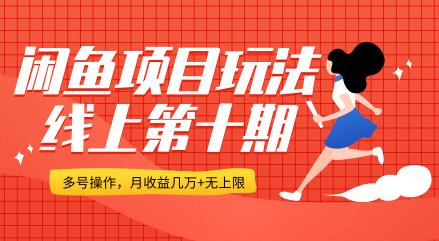 闲鱼项目玩法实战班线上第十期，多号批量操作，一个月收益几万+无上限(完整无水印版)
