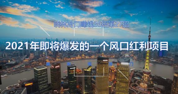 晓林冷门賺米36招第27招2021年即将爆发的一个风口红利项目【视频课程】