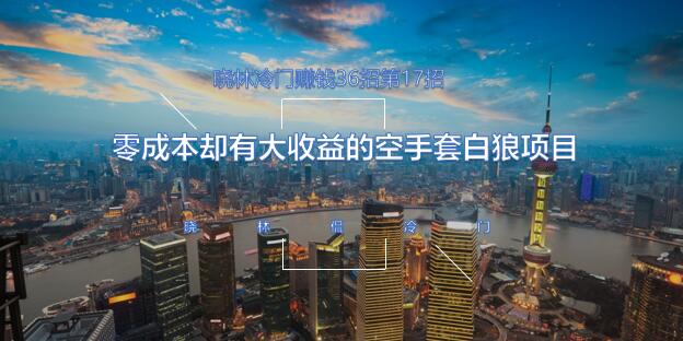 晓林冷门賺米36招第17招零成本却有大收益的空手套白狼项目【视频课程】