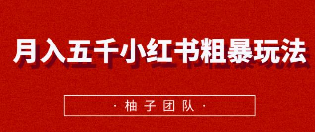 月入五千小红书粗暴賺米玩法，适合上班族的賺米副业【视频课程】