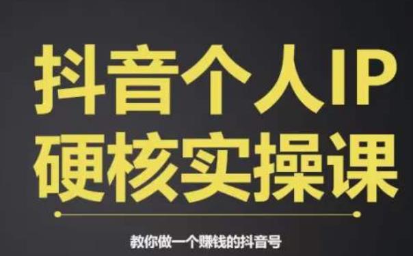 个人IP创富系统实战课，商业定位，流量打造，短视频变现，教你做个賺米的抖音号