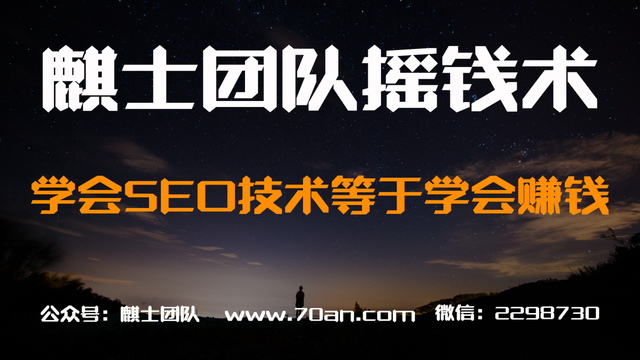 麒士团队摇钱术12：学会SEO技术等于学会賺米【视频课程】