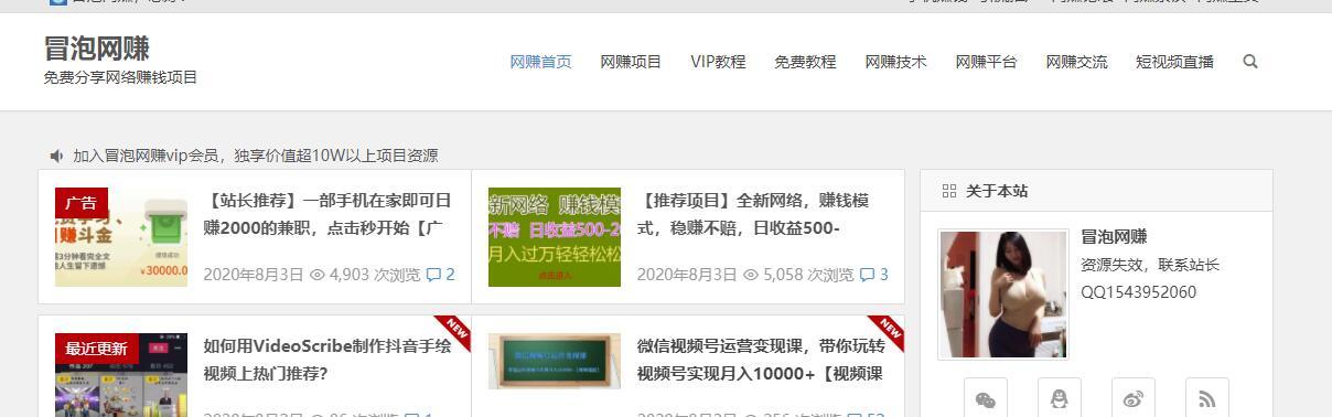 卖源码賺米月赚10000+，小白也能够操作的副业网创项目