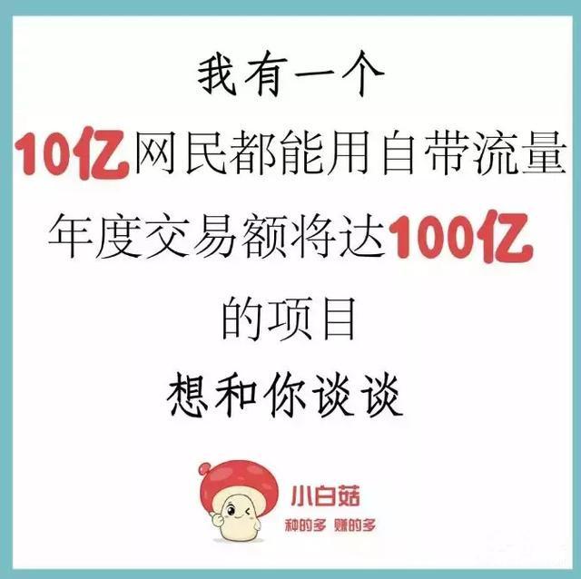 如何0投入月入过万， 小白菇APP绝对不能错过的创业项目