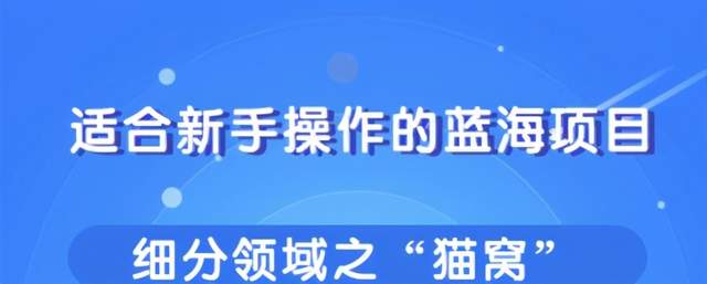 柚子团队内部课程：适合新手操作的细分蓝海项目，宠物賺米的门道