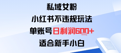 私域女粉：小红书平台不违规玩法单账号日利润6张+适合新手小白