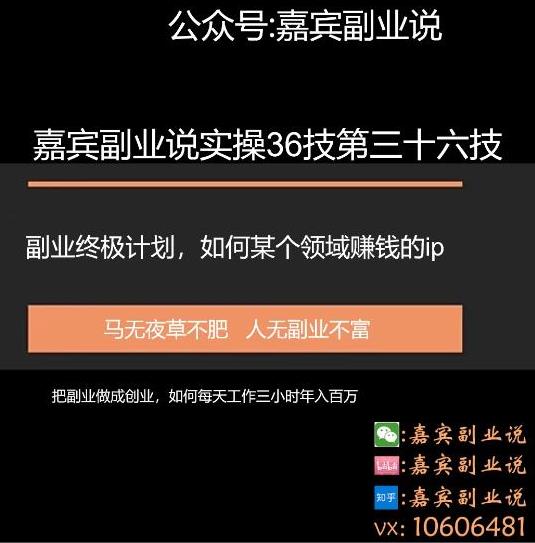 嘉宾副业说实操36技第三十六技：副业终身计划，把副业做成创业如何做某个领域的賺米ip