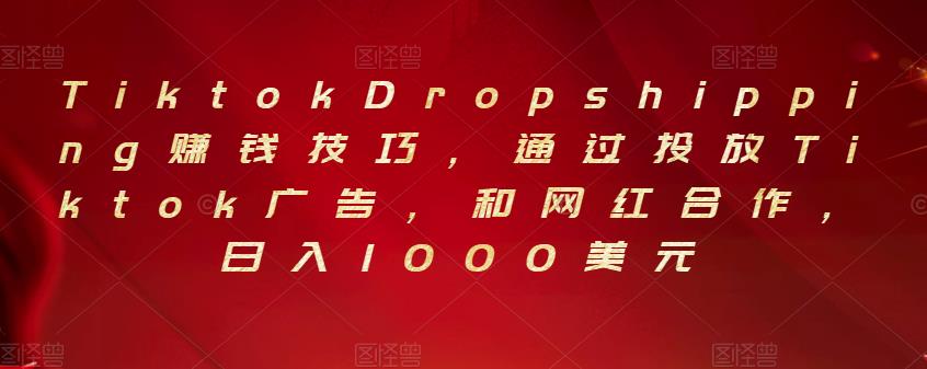 Tiktok Dropshipping賺米技巧，通过投放Tiktok广告，和网红合作，日入1000美元