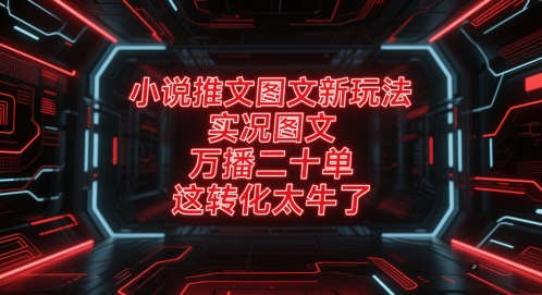 小说推文图文新玩法，实况图文，万播二十单，这转化太牛了！
