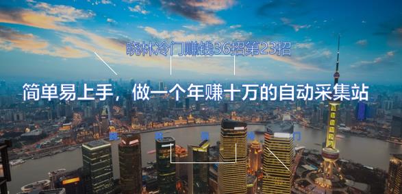 晓林冷门賺米36招第23招简单易上手，做一个年赚十万的自动采集站【视频课程】