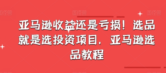 亚马逊收益还是亏损！选品就是选投入项目，亚马逊选品教程