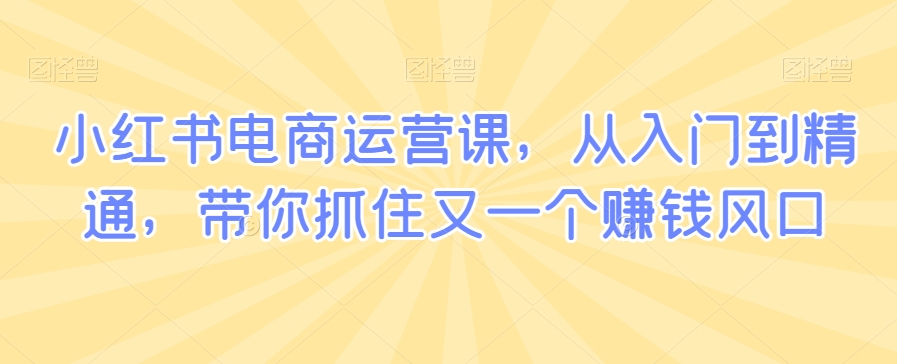 小红书电商运营课，从入门到精通，带你抓住又一个賺米风口