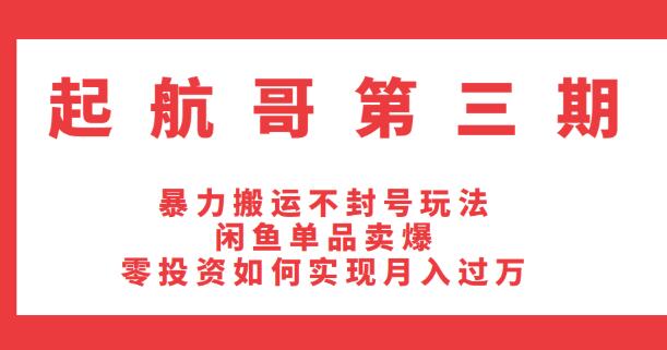 起航哥第三期：暴力搬运不封号玩法，闲鱼单品卖爆和零投入如何实现月入过万