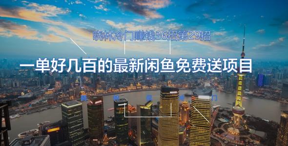 晓林冷门賺米36招第29招一单好几百的最新闲鱼免费送项目【视频课程】
