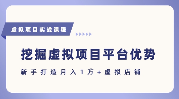 抓住虚拟项目各平台优势，新手轻松月入1W+(给出具体建议)