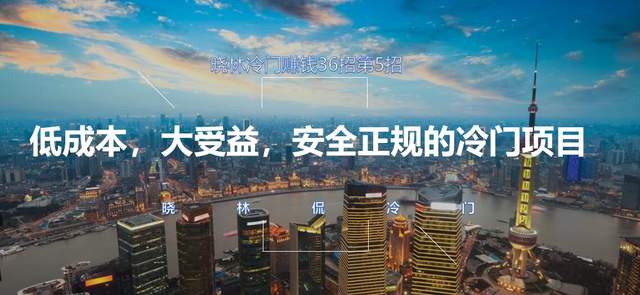 晓林冷门賺米36招第5招低成本，大收益，安全正规的冷门项目【视频课程】