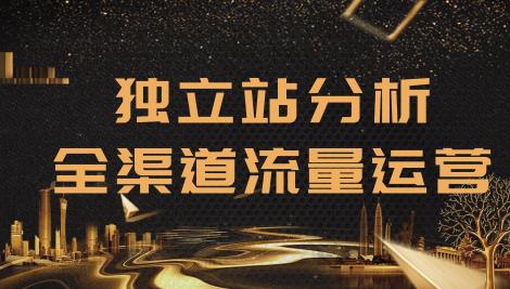 2020跨境电商未来出路，独立站精细化流量运营，手把手教你分析一个网站
