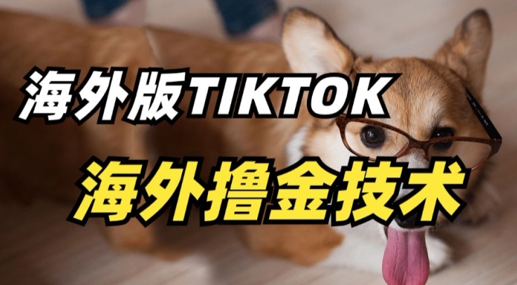 抖音海外版tiktok撸金技术，这个风口行业，賺米真的不难【揭秘】