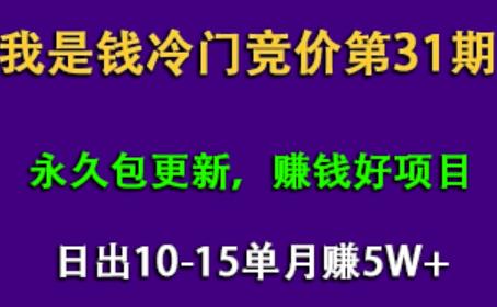 我是钱第31期网授课程网授课百度冷门竞价，日出10-15单，月赚5w+（完结）