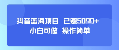 抖音蓝海项目，小白可做，操作简单，可批量制作，已挣5k+