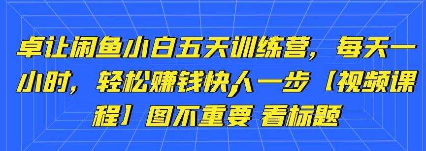 卓让闲鱼小白五天训练营，每天一小时，轻松賺米快人一步【视频课程】