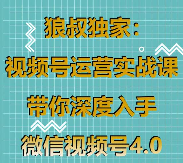 狼叔独家：视频号运营实战课，带你深度入手微信视频号4.0