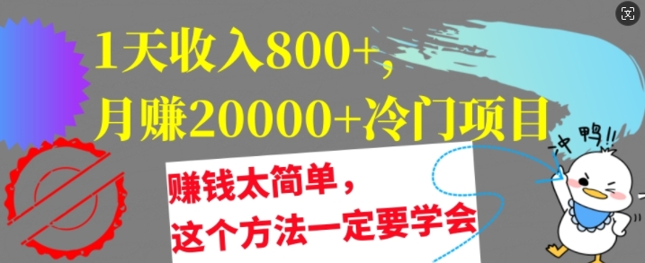 1天收入8张，月赚2w+冷门项目，賺米太简单，这个方法一定要学会【干货】
