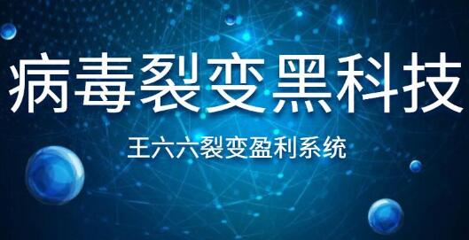 王六六裂变盈利系统课程第六课，病毒裂变黑科技（附课堂里的配图）