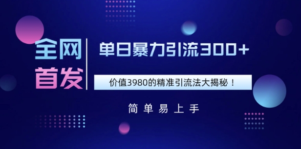 全网首发，价值3980单日暴力引流300+的精准引流法大揭秘