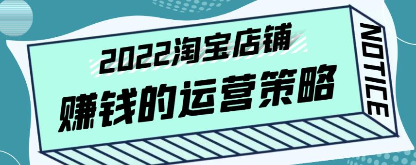 震宇老师·2022年淘宝店铺賺米的运营策略，一套能够盈利的賺米打法