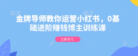 金牌导师教你运营小红书，0基础进阶賺米博主训练课