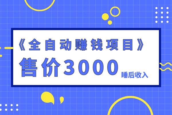 佐道副业特训营4：售价3000的全自动賺米项目，打造睡后收入