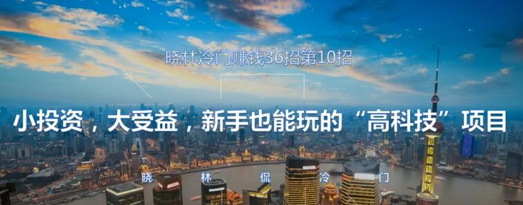 晓林冷门賺米36招第10招小投入，大受益，新手也能玩的“高科技”项目【视频课程】