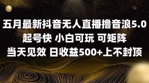 2025五月最新无人直播撸音浪单日产出5张+实操教程【揭秘】