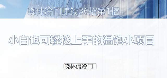 晓林冷门賺米36招第1招：小白也可轻松上手的温饱小项目【视频课程】