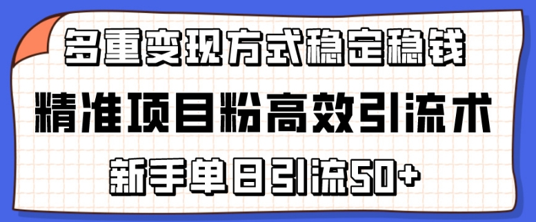 精准项目粉高效引流术，新手单日引流50+，多重变现方式稳定賺米【揭秘】