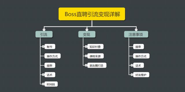 王半圈：Boss直聘引流变现详解，让网络賺米更简单!【视频课程】