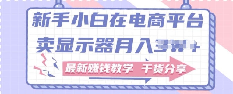 新手小白如何做到在电商平台卖显示器，最新賺米教学干货分享