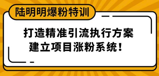 陆明明爆粉特训3月28号：打造精准引流执行方案，建立项目涨粉系统！