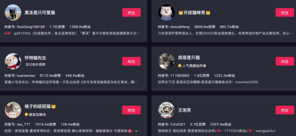 副业拍猫视频一公一母，日赚上万，人人可操作