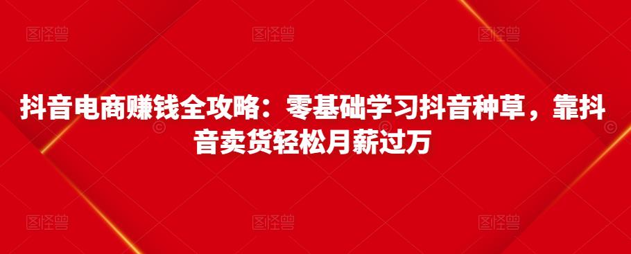 抖音电商賺米全攻略：零基础学习抖音种草，靠抖音卖货轻松月薪过万
