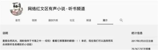 国外网创项目：YouTube（油管）有声小说玩法，躺着稳赚美金