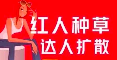 上班族月入6000+小红书引流賺米副业项目，拆解视频号简单粗暴玩法！
